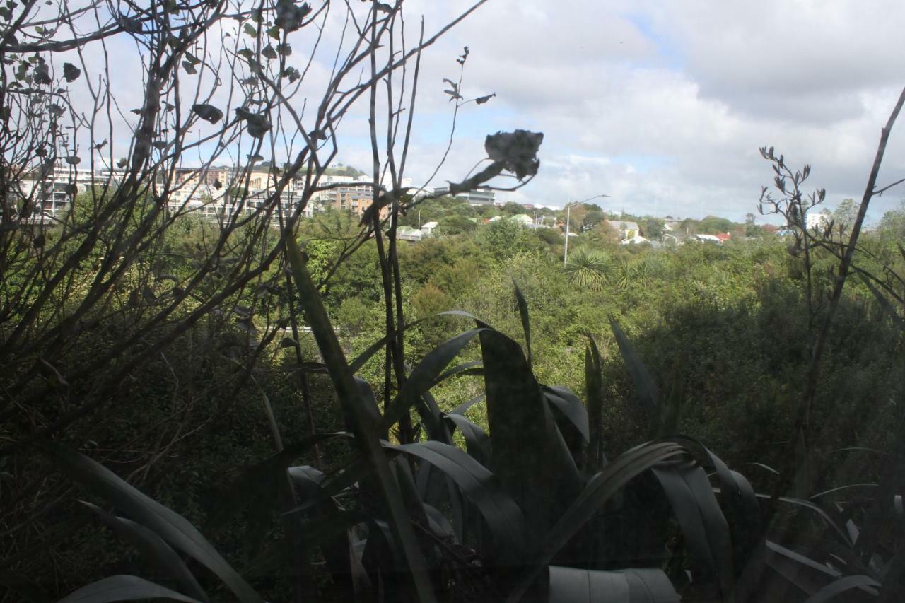 Bed and Breakfast The Burgoyne Bnb Auckland Exterior foto